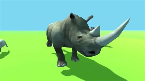 Rhino speeds